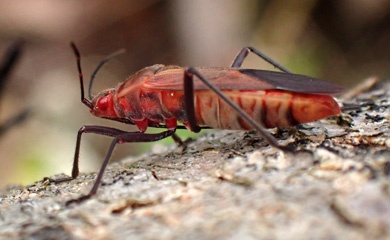 PC021906a.jpg